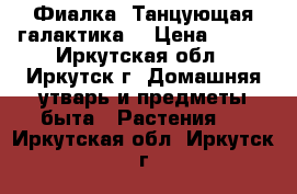 Фиалка “Танцующая галактика“ › Цена ­ 160 - Иркутская обл., Иркутск г. Домашняя утварь и предметы быта » Растения   . Иркутская обл.,Иркутск г.